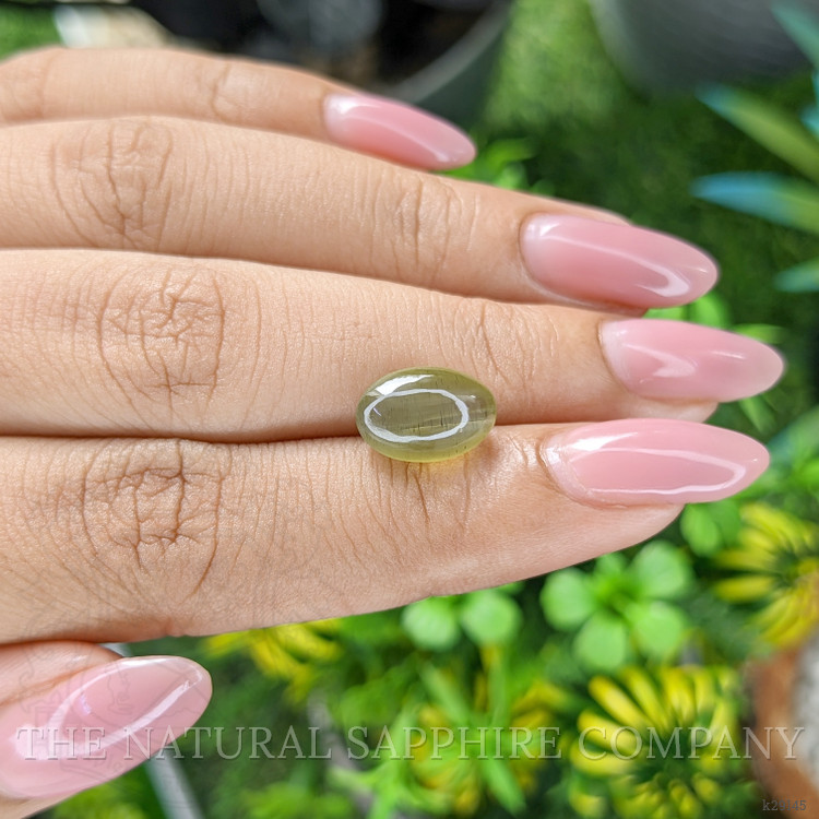 4.89 Ct. Yellowish Green Cabochon Apatite from Ceylon (Sri Lanka)