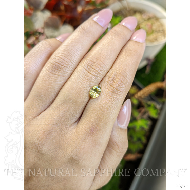 1.68 Ct. Greenish Yellow Zircon from Ceylon (Sri Lanka)