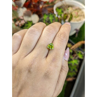 1.52 Ct. Yellowish Green Peridot from Pakistan Life Style