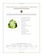 1.03 Ct. Yellowish Green Peridot from Pakistan Scan Report