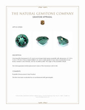 6.59 Ct. Bluish Green Prasiolite from Brazil Appraisal