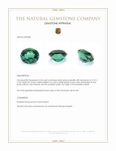 6.58 Ct. Bluish Green Prasiolite from Brazil Appraisal