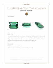 6.06 Ct. Bluish Green Prasiolite from Brazil Appraisal