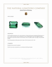 6.06 Ct. Bluish Green Prasiolite from Brazil Appraisal