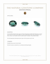 5.04 Ct. Bluish Green Prasiolite from Brazil Appraisal