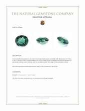 6.22 Ct. Bluish Green Prasiolite from Brazil Appraisal