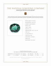 6.22 Ct. Bluish Green Prasiolite from Brazil Scan Report