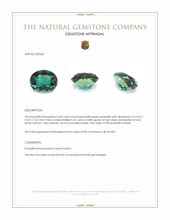 5.68 Ct. Bluish Green Prasiolite from Brazil Appraisal
