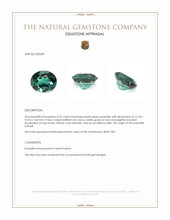 5.47 Ct. Bluish Green Prasiolite from Brazil Appraisal