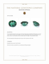 7.04 Ct. Bluish Green Prasiolite from Brazil Appraisal
