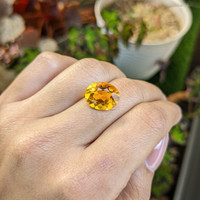 5.69 Ct. Yellowish Orange Citrine from Brazil Life Style