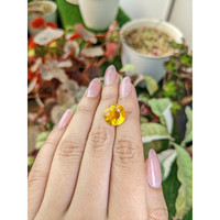 6.27 Ct. Yellow Citrine from Brazil Life Style