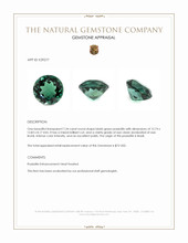7.34 Ct. Bluish Green Prasiolite from Brazil Appraisal