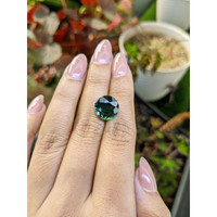6.16 Ct. Bluish Green Prasiolite from Brazil Life Style