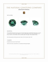 6.09 Ct. Bluish Green Prasiolite from Brazil Appraisal
