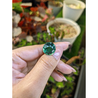 10.07 Ct. Bluish Green Prasiolite from Brazil Life Style