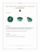 5.93 Ct. Bluish Green Prasiolite from Brazil Appraisal