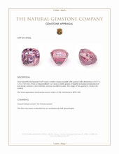 4.09 Ct. Purplish Pink Garnet from Ceylon (Sri Lanka) Appraisal