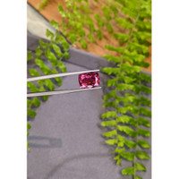7.03 Ct. Reddish Pink Rubellite Tourmaline from Brazil Life Style