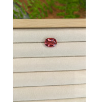 5.37 Ct. Reddish Pink Rubellite Tourmaline from Brazil Life Style