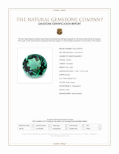 4.60 Ct. Bluish Green Prasiolite from Brazil Scan Report