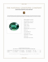 9.79 Ct. Bluish Green Prasiolite from Brazil Scan Report