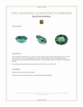 4.75 Ct. Bluish Green Prasiolite from Brazil Appraisal