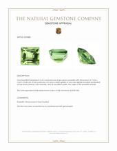 14.26 Ct. Green Prasiolite from Brazil Appraisal