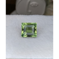14.26 Ct. Green Prasiolite from Brazil Life Style