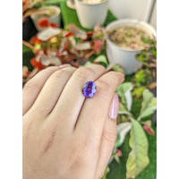 3.35 Ct. Purple Amethyst from Ceylon (Sri Lanka) Life Style