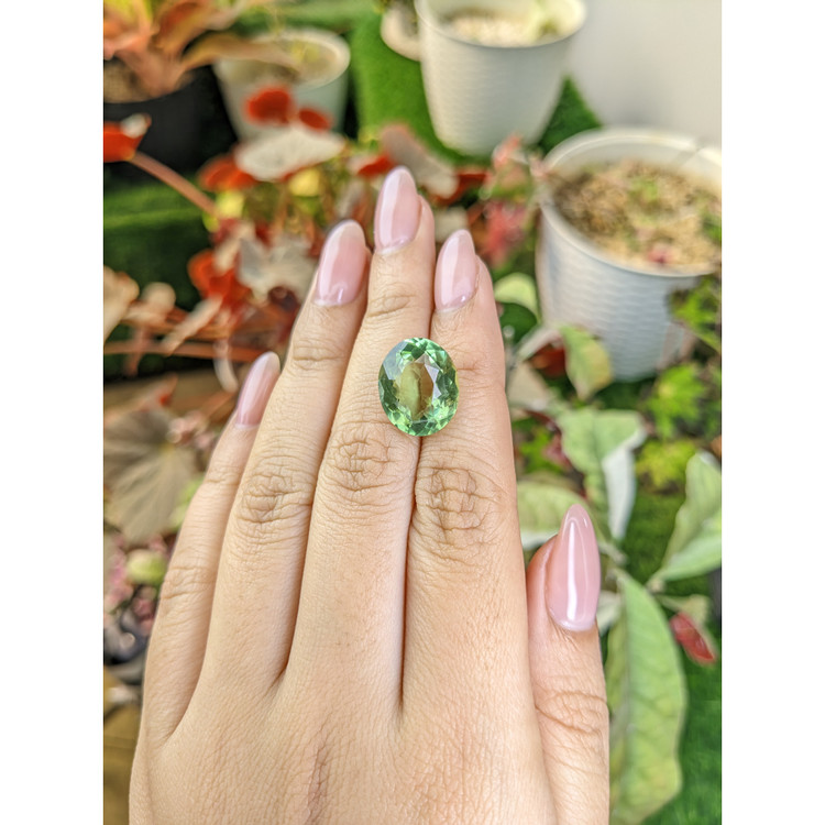 9.27 Ct. Green Prasiolite from Brazil