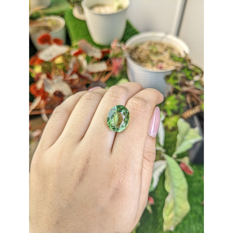 9.27 Ct. Green Prasiolite from Brazil
