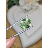 9.27 Ct. Green Prasiolite from Brazil Life Style