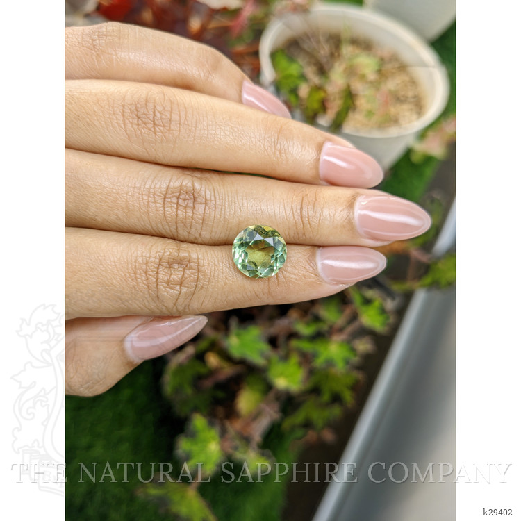 5.58 Ct. Yellowish Green Prasiolite from Brazil