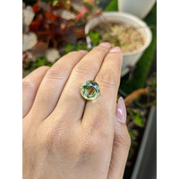 5.58 Ct. Yellowish Green Prasiolite from Brazil Life Style