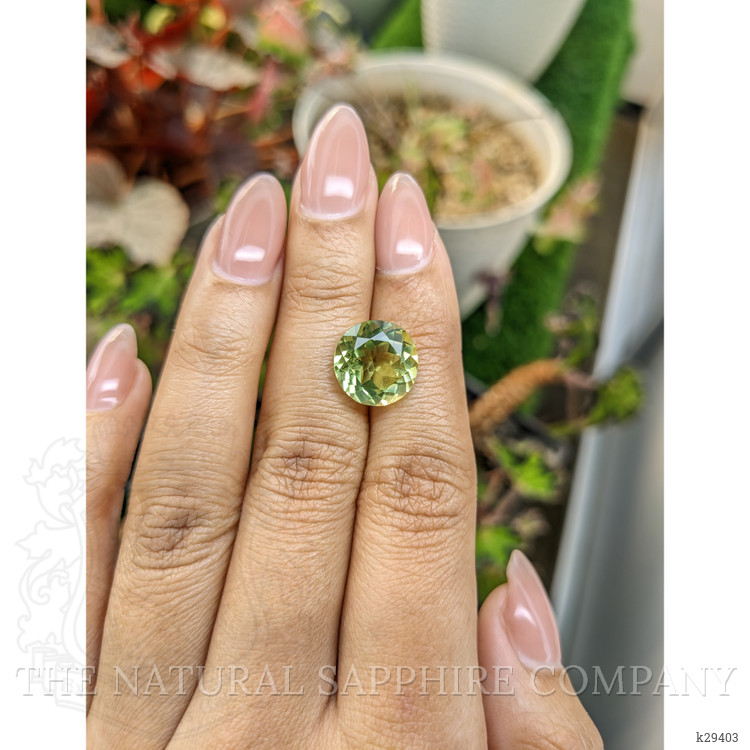 5.95 Ct. Yellowish Green Prasiolite from Brazil