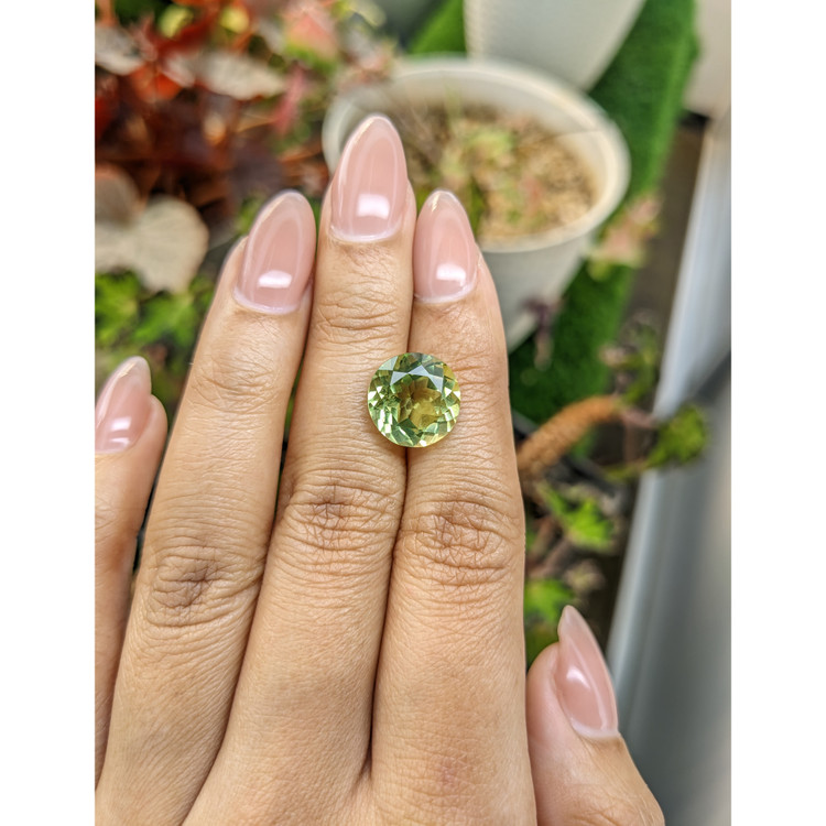 5.95 Ct. Yellowish Green Prasiolite from Brazil