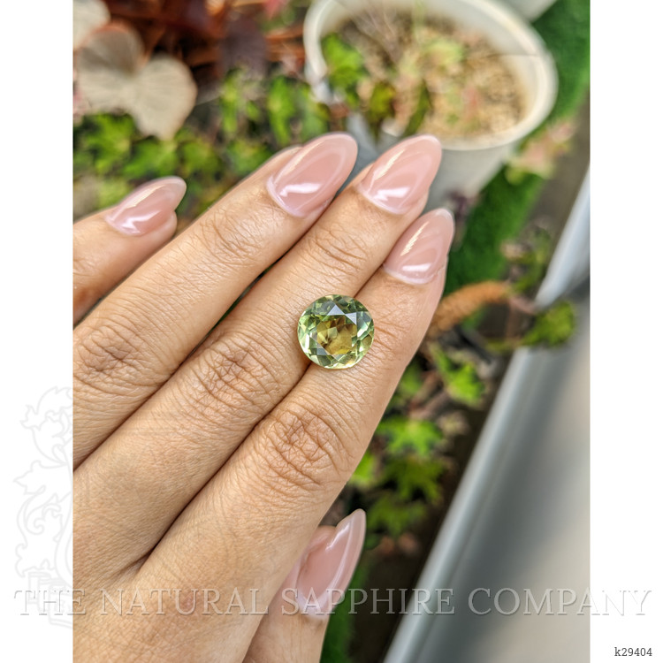 5.94 Ct. Yellowish Green Prasiolite from Brazil