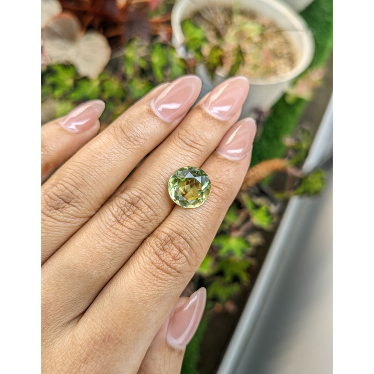 5.94 Ct. Yellowish Green Prasiolite from Brazil