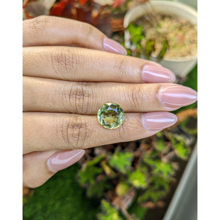5.94 Ct. Yellowish Green Prasiolite from Brazil
