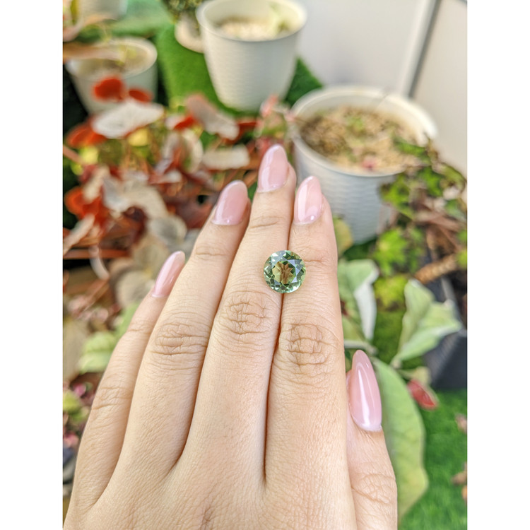4.70 Ct. Green Prasiolite from Brazil