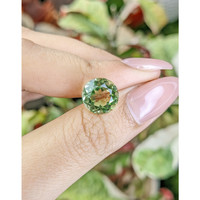 4.70 Ct. Green Prasiolite from Brazil Life Style