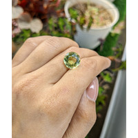5.94 Ct. Yellowish Green Prasiolite from Brazil Life Style