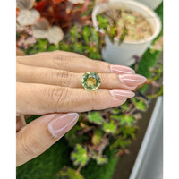 5.94 Ct. Yellowish Green Prasiolite from Brazil Life Style
