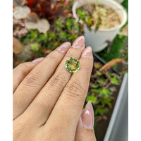 5.94 Ct. Yellowish Green Prasiolite from Brazil Life Style