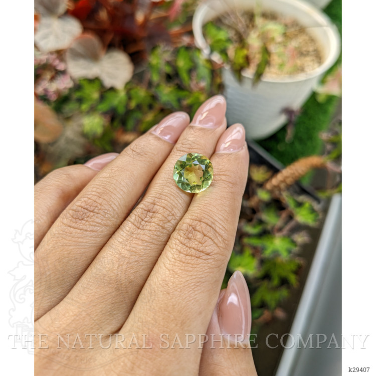 5.94 Ct. Yellowish Green Prasiolite from Brazil