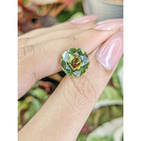 5.94 Ct. Green Prasiolite from Brazil Life Style
