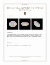 1.17 Ct. Multi Color White Opal (Light Opal) from Ethiopia Appraisal