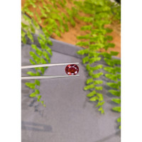 3.46 Ct. Pinkish Purple Tourmaline from Brazil Life Style