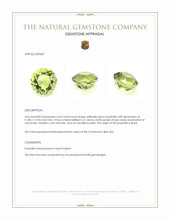 6.63 Ct. Yellowish Green Prasiolite from Brazil Appraisal